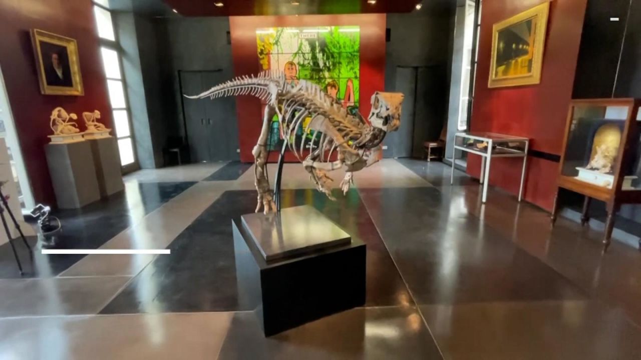 CNNE 1263997 - ¿quieres tener un dinosaurio? mira cuanto deberias pagar