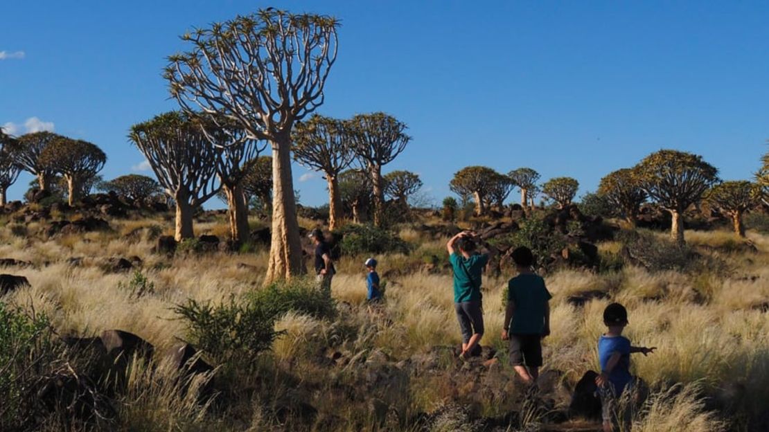 La familia Lemay-Pelletier explora el bosque Quivertree en Namibia, donde comenzó su viaje por el mundo. Crédito: Edith Lemay