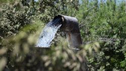 CNNE 1266277 - el agua es vida y su uso eficiente es vital