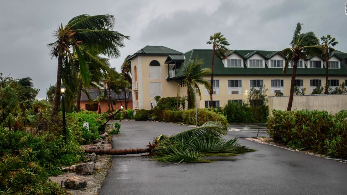 Palmeras caídas yacían sobre la entrada de Ports of Call Resort en Providenciales, Islas Turcas y Caicos.