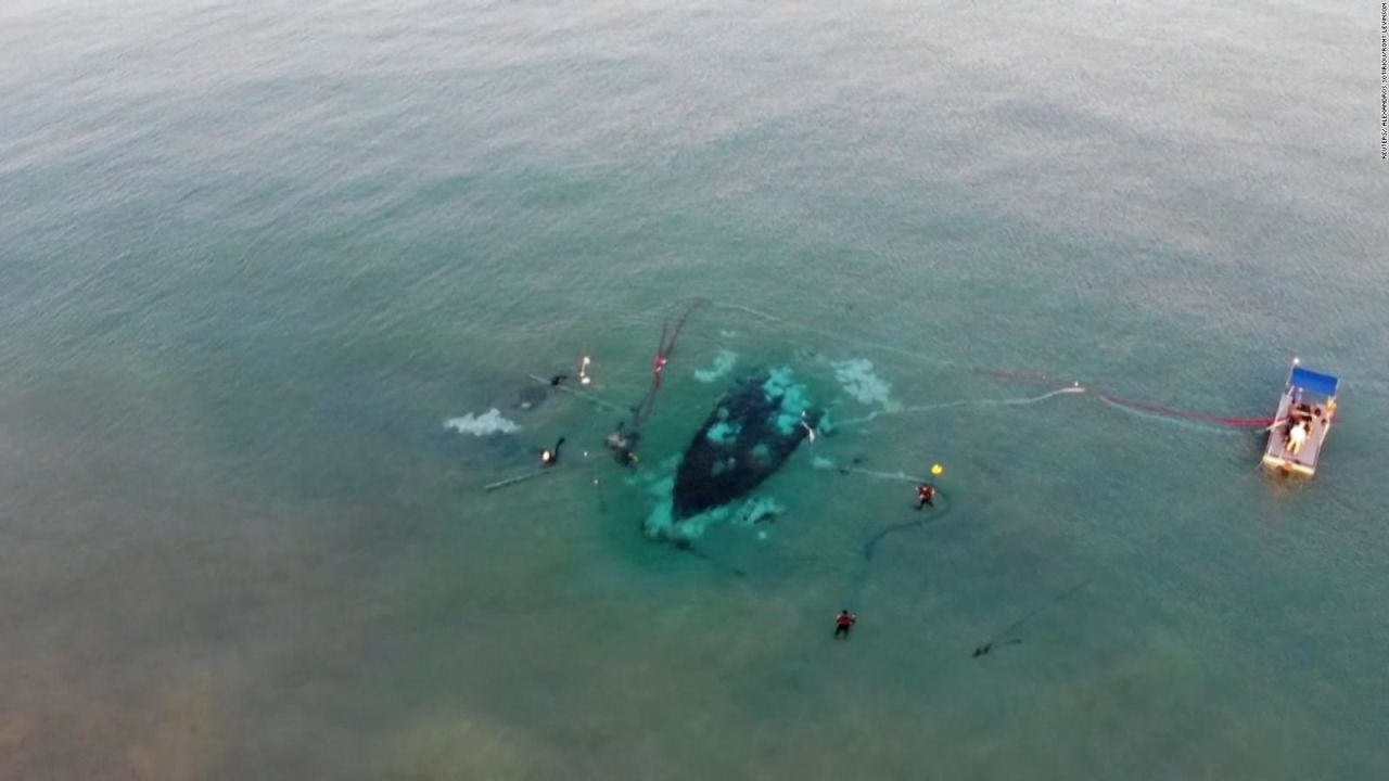 CNNE 1273061 - hallan barco hundido de mas de 1-200 anos de antiguedad