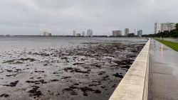 CNNE 1274181 - el huracan ian succiona buena parte del agua de la bahia de tampa bay