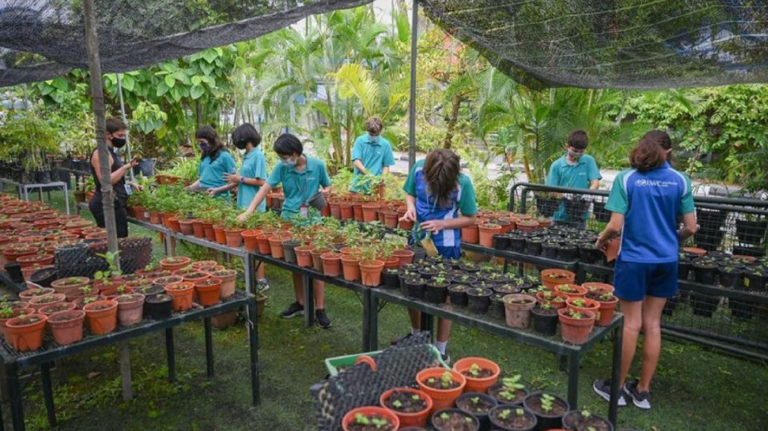 Para el Día del Llamado a la Tierra 2021, los niños del UWC del Sudeste Asiático realizaron un "maratón de plantas". Sembraron hierbas, plantaron semillas en macetas y cultivaron esquejes de plantas en un jardín tropical protegido. Foto: UWC Sudeste Asiático