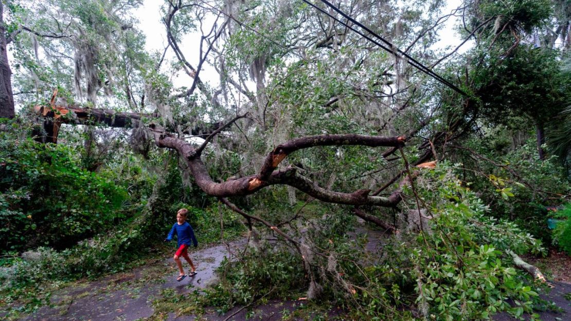 Un niño corre debajo de un árbol que cayó por los efectos del huracán Ian, el viernes en Charleston, Carolina del Sur.