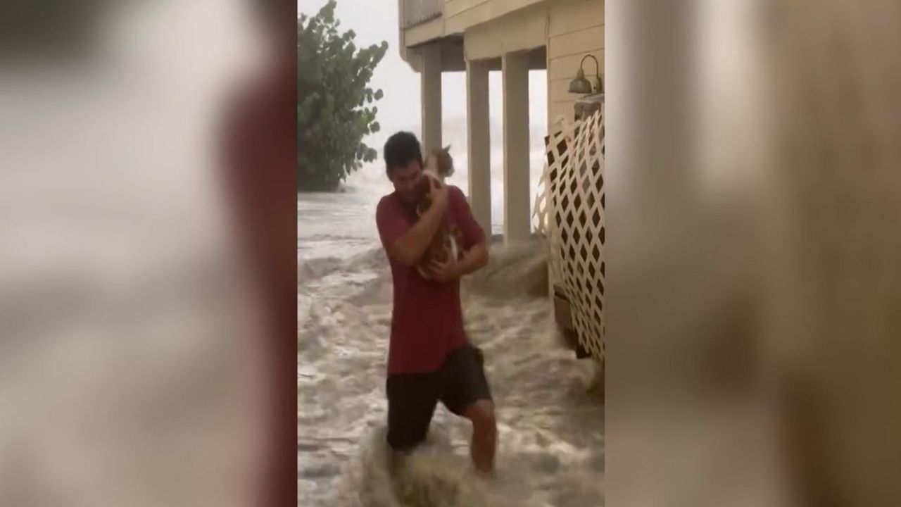 CNNE 1276253 - joven rescata a un gato en medio del huracan ian