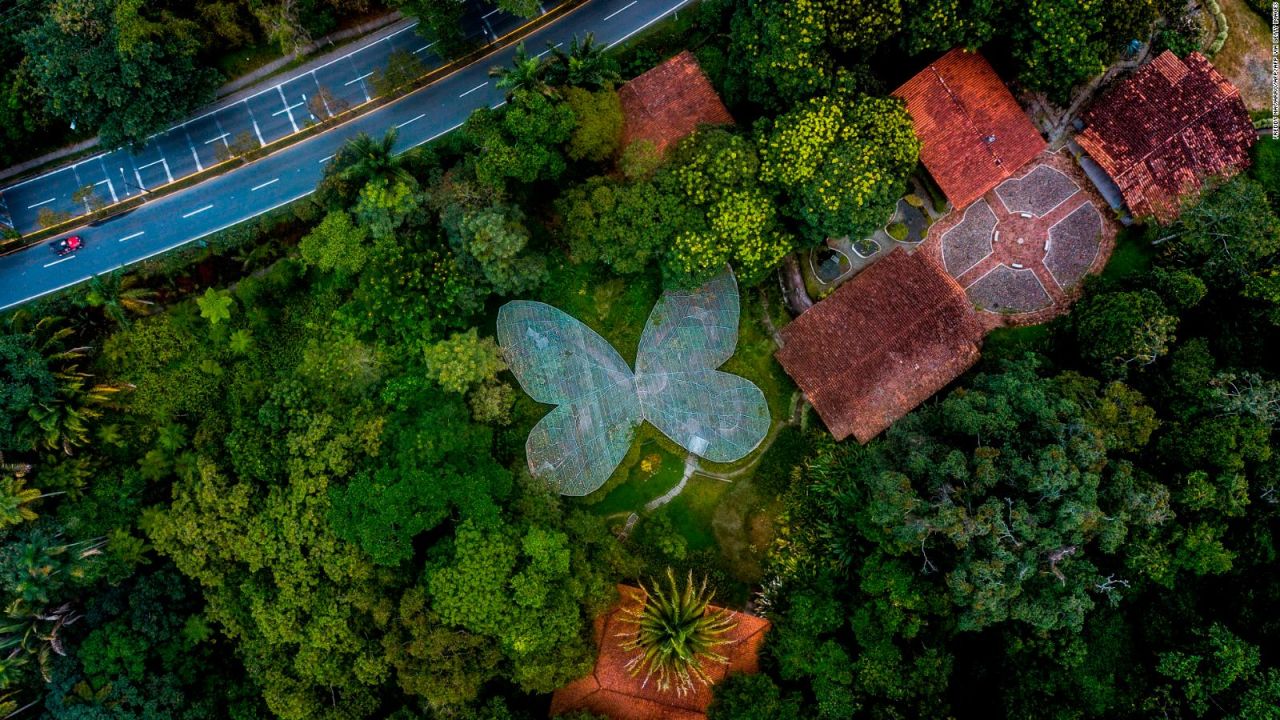 CNNE 1278408 - ¿que son las islas de biodiversidad y como ayudan proteger el medio ambiente?