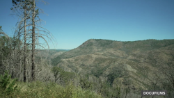 CNNE 1279016 - asi es como el cambio climatico hace mas intensos los incendios forestales