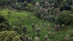 CNNE 1279791 - ¿como ayudan las islas de biodiversidad a nuestros campos?