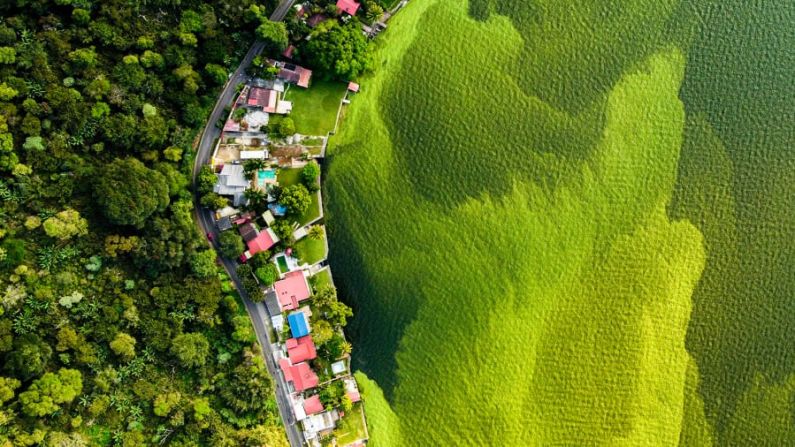 “El lago moribundo” de Daniel Núñez fue tomada para concientizar sobre el impacto de la contaminación en el lago Amatitlá, en Guatemala. Daniel Núñez/Fotógrafo de Vida Silvestre del Año