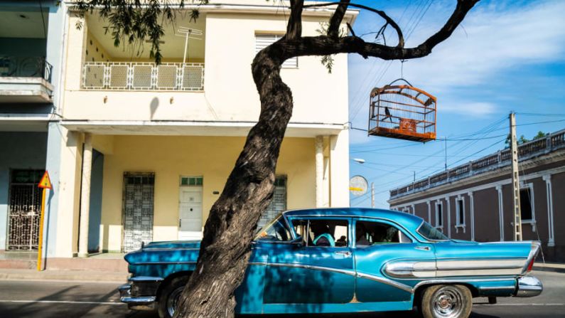 "La conexión cubana" de Karine Aigner captura un camachuelo cubano enjaulado para contar la historia compartida de la cultura cubana y estos pájaros cantores. Karine Aigner/Fotógrafo de Vida Silvestre del Año