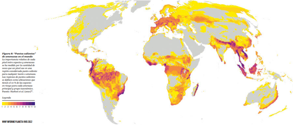 CNNE 1280883 - america-latina-animales-wwf