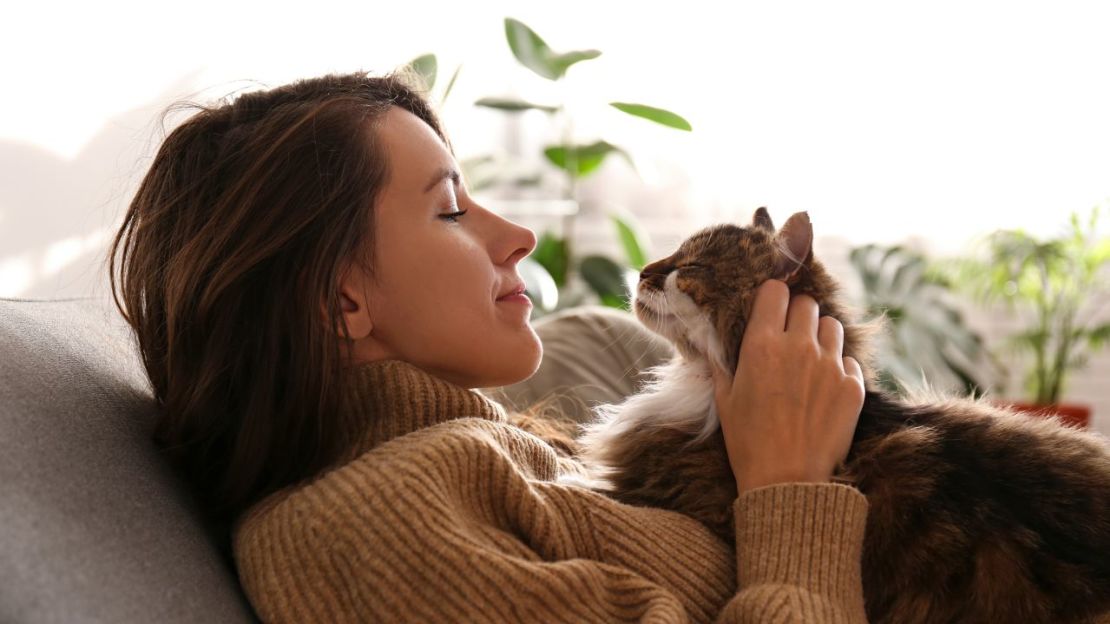Tu gato también podría estar señalando secretamente su afecto en la forma en que te mira, escribe Emily Blackwell.Adobe Stock