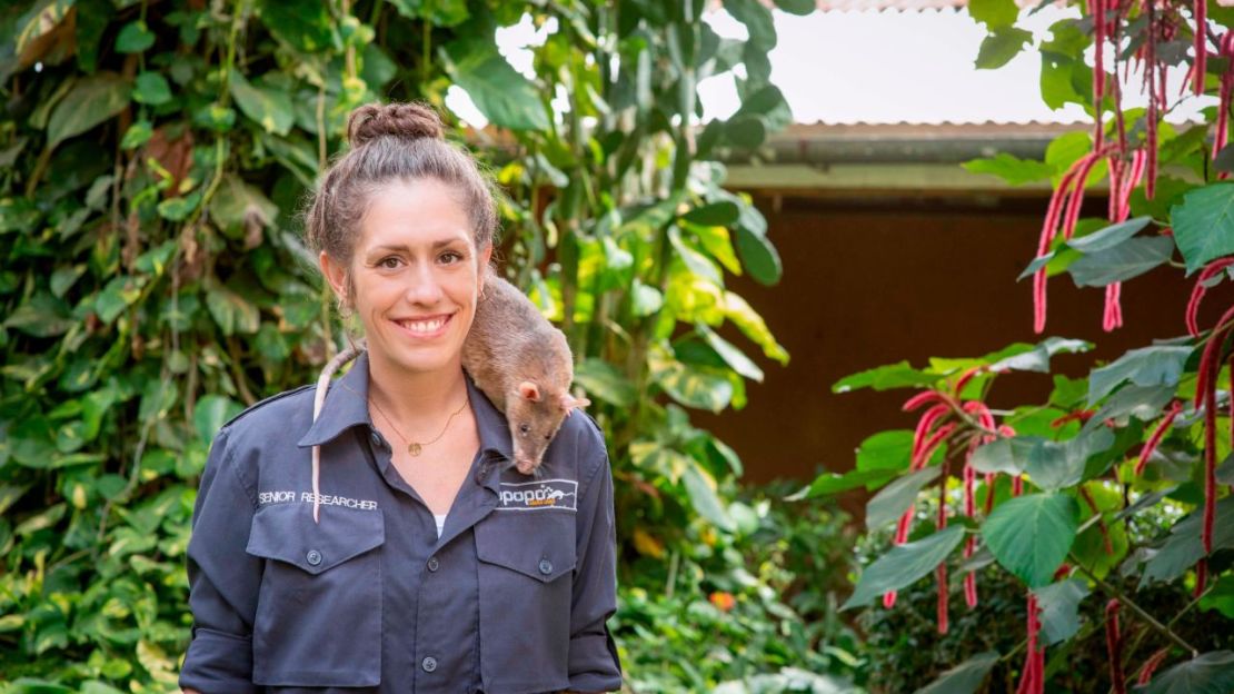 La investigadora del comportamiento Donna Kean (en la foto) dice que las ratas son amistosas, sociables y fáciles de trabajar. Crédito: APOPO