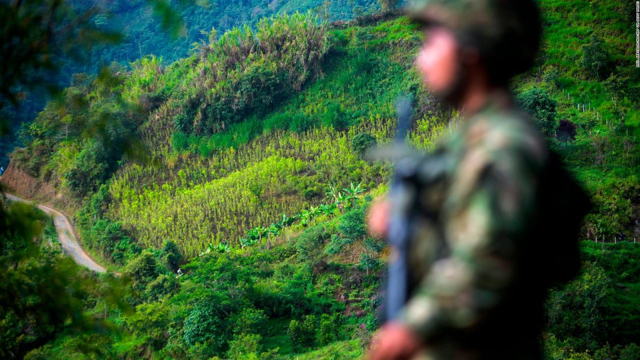CNNE 1287399 - fotografias del conflicto armado en colombia llaman a no volver al pasado