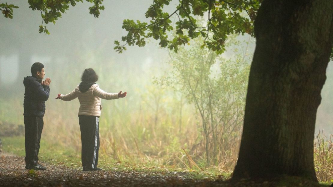 El tai chi es una versión del qigong, pero pone más énfasis en la forma física y requiere más disciplina. Crédito: Christopher Furlong/Getty Images