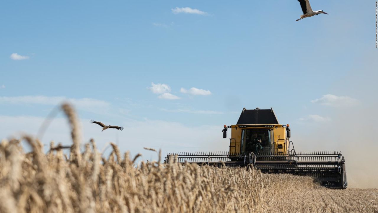 CNNE 1289245 - ¿crisis alimentaria mundial tras nueva decision de rusia?