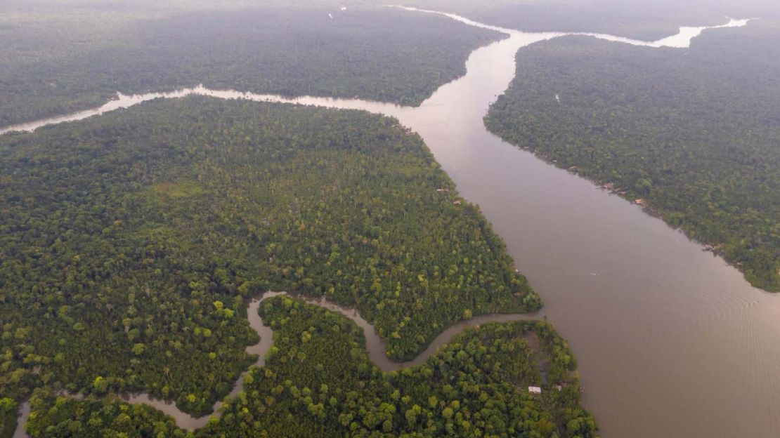 Imagen de la Amazonia brasileña.