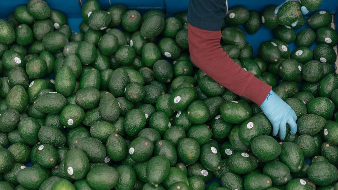 Los aguacates procedentes de México representan más del 90% del suministro en EE.UU. Crédito: Luis Antonio Rojas/Bloomberg/Getty Images