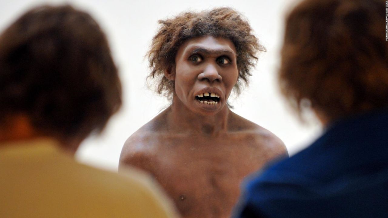 CNNE 1291483 - ¿que provoco la extincion de los neandertales?