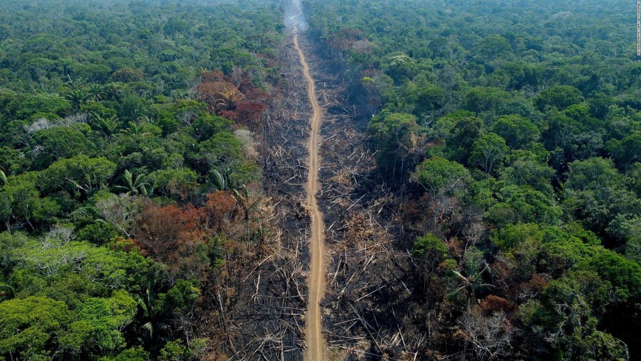 CNNE 1292251 - ordenan reactivar fondo para la amazonia en brasil