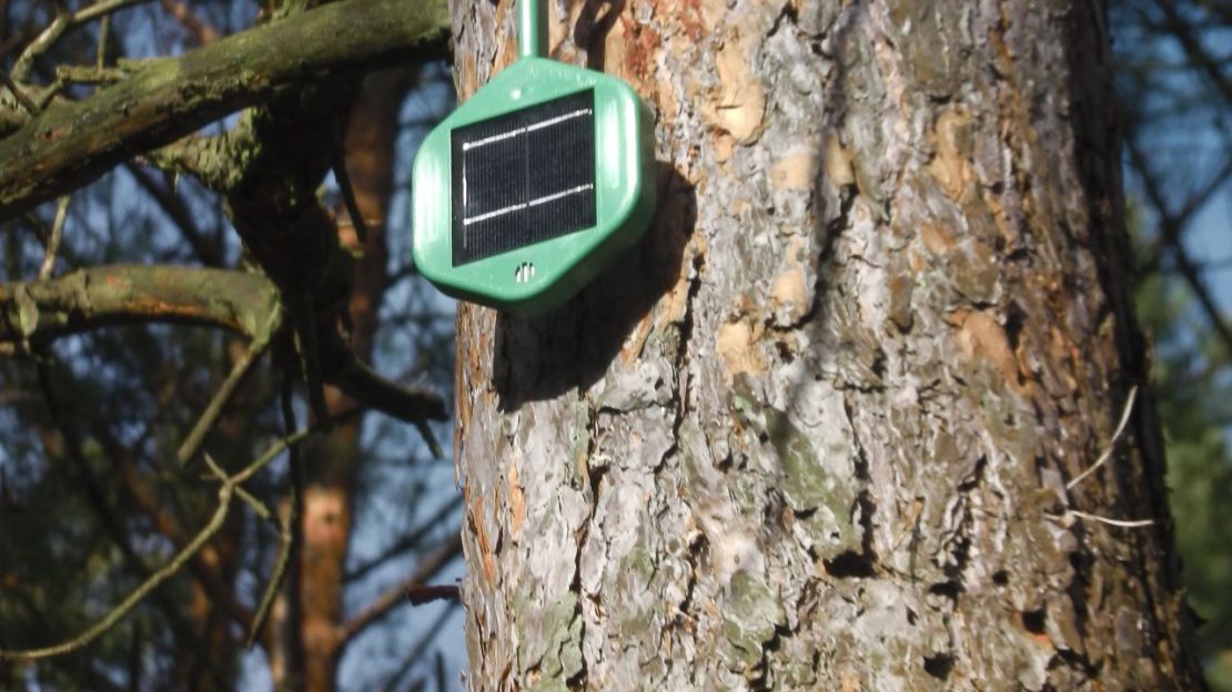 La empresa alemana Dryad ha diseñado un sensor barato que podría reducir drásticamente el tiempo de detección de los incendios forestales.