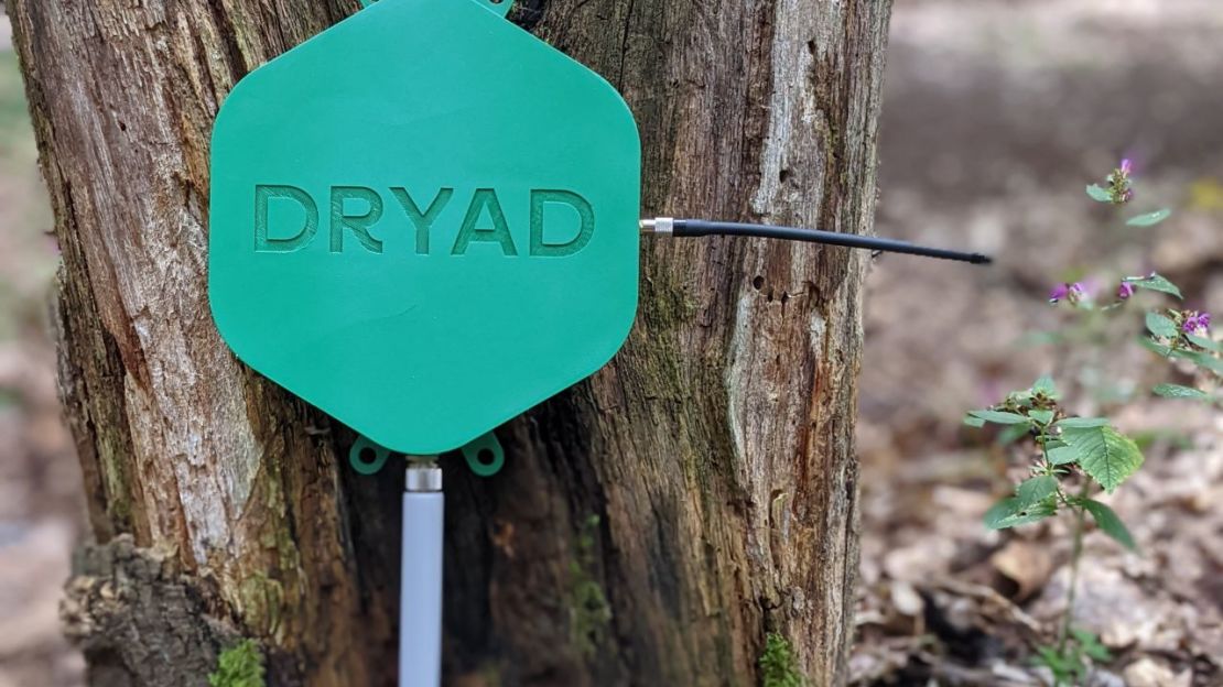 Los sensores colocados en el límite del bosque transmiten las señales de emergencia a Internet por satélite y 4G. Crédito: Dryad