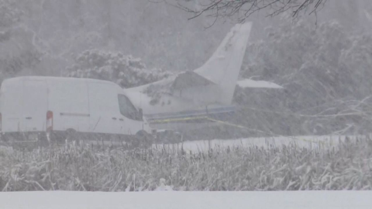 CNNE 1298150 - avion aterriza de emergencia con decenas de perros a bordo