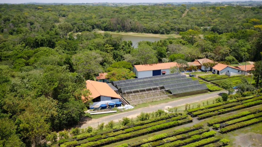 SOS Mata Atlántica pudo recuperar esta parcela de pasto y convertirla en un hábitat silvestre. Crédito: Vasco Cotovio/CNN