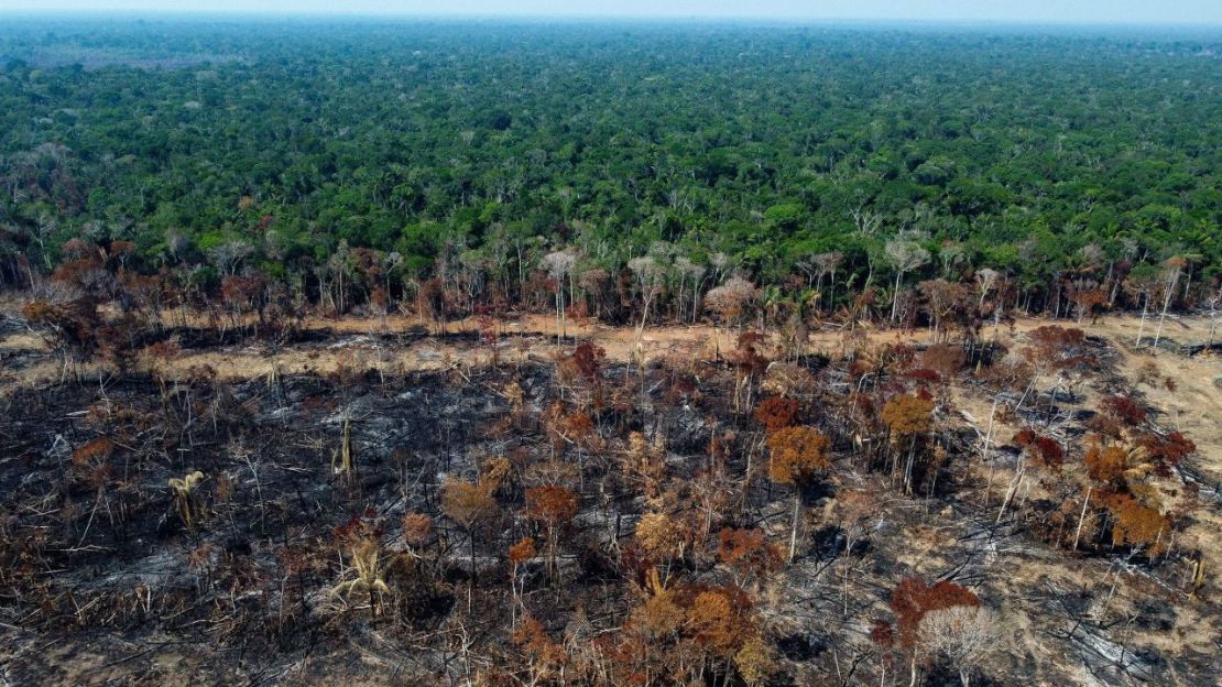 Una zona deforestada y quemada de la selva amazónica en septiembre. Crédito:Michael Dantas/AFP/Getty Images