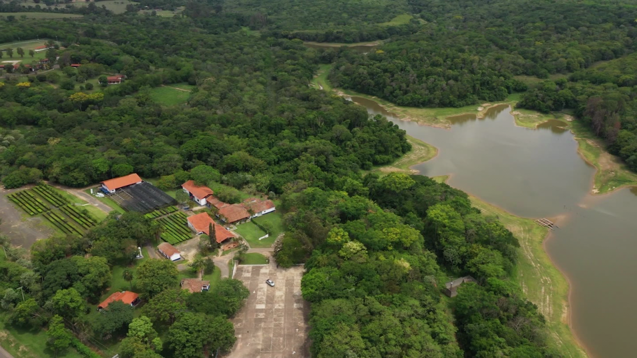 CNNE 1300400 - unen esfuerzos para restaurar la amazonia brasilena