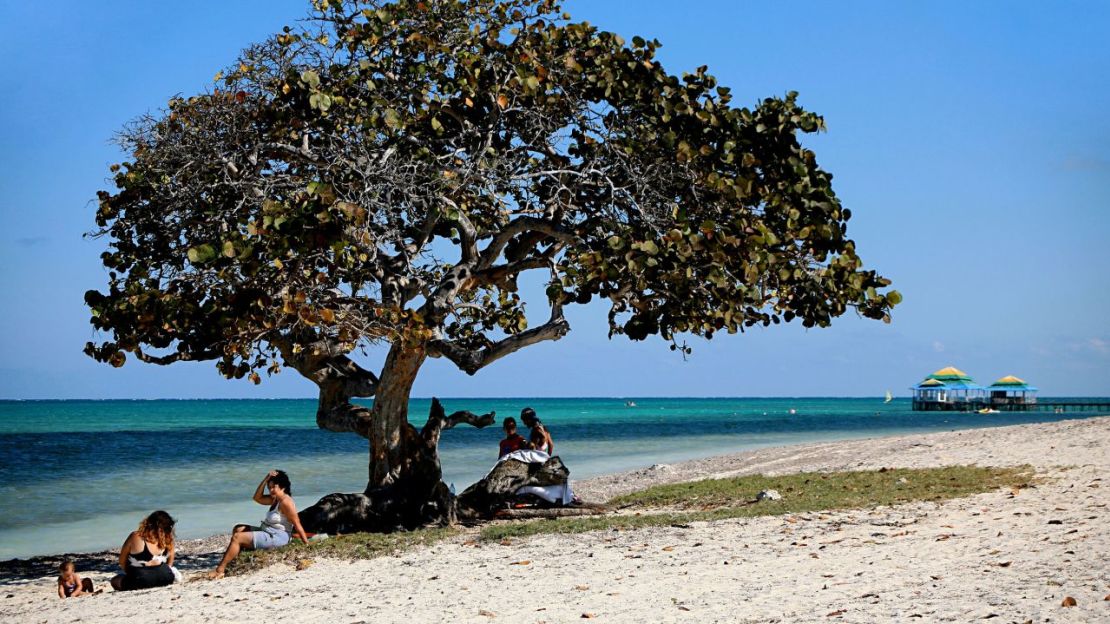 El centro de buceo de Playa Santa Lucía atrae a aficionados a los tiburones de todo el mundo.