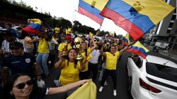 CNNE 1300716 - ecuador celebra su triunfo en el primer partido de qatar 2022