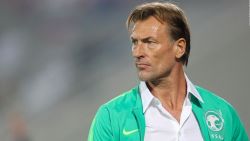 CNNE 1301934 - ¿quien es herve renard?