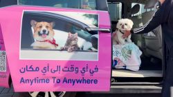 CNNE 1305795 - taxi en dubai ofrece servicio a mascotas