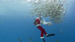 CNNE 1307868 - buzo disfrazado de papa noel sorprende a los ninos en un acuario en japon