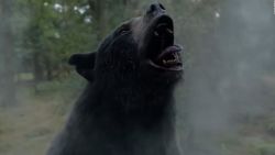 CNNE 1307950 - "cocaine bear", la pelicula de un oso que inhala cocaina se hace viral