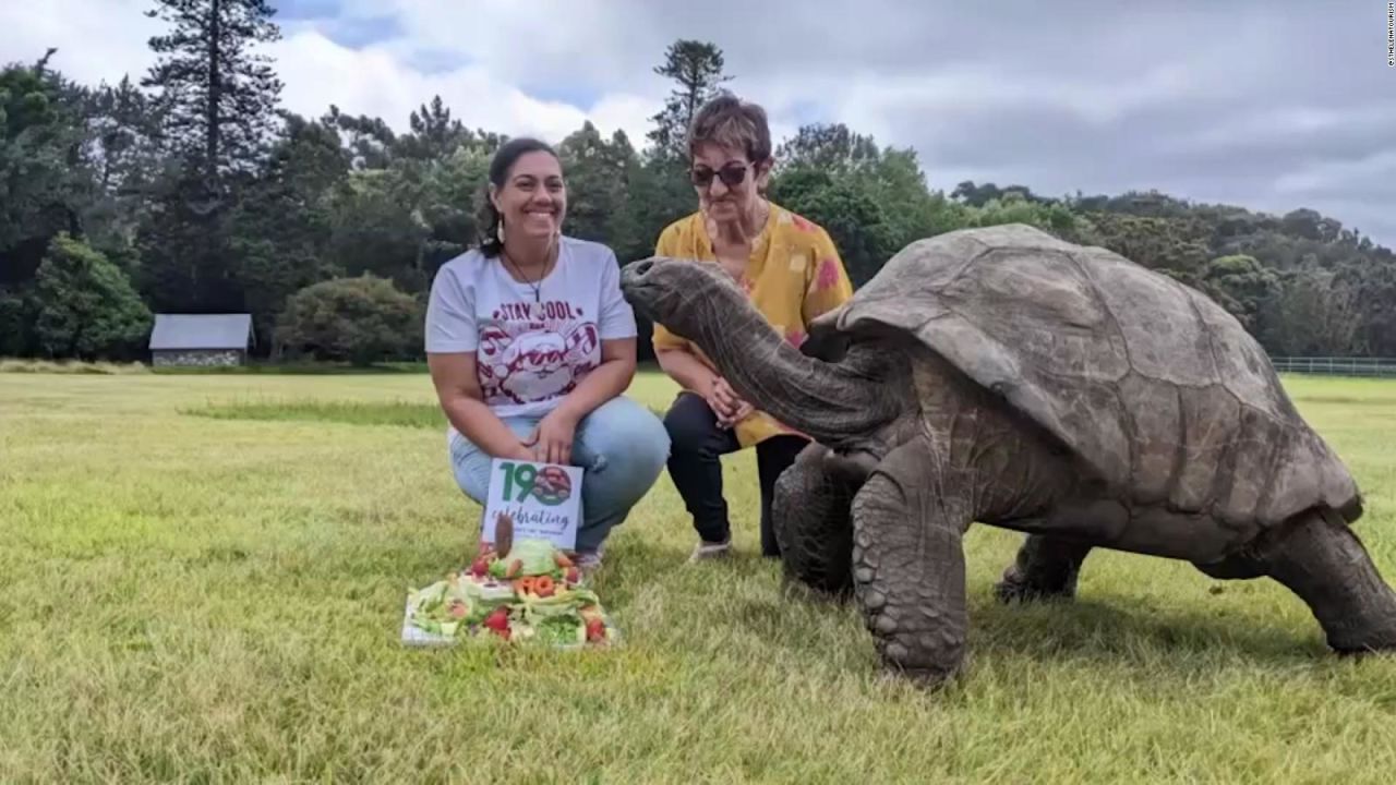 CNNE 1309627 - el animal mas anciano del mundo festeja su cumpleanos 190