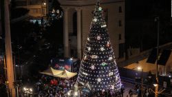 CNNE 1311192 - rumbo a nochebuena, los arboles navidenos mas lindos del mundo