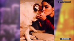 CNNE 1318009 - maite perroni honra la memoria de su mascota