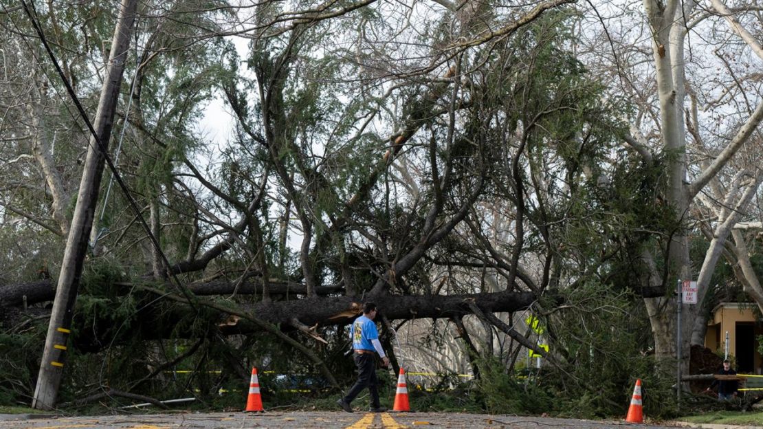 Un árbol derribado bloquea la calle H el domingo en Sacramento, California.