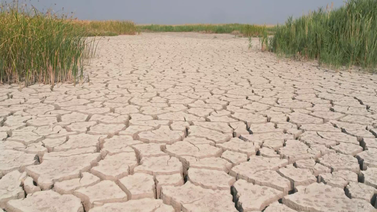 CNNE 1325902 - ¿por que se debe reducir la mitad de gases de efecto invernadero para 2030?