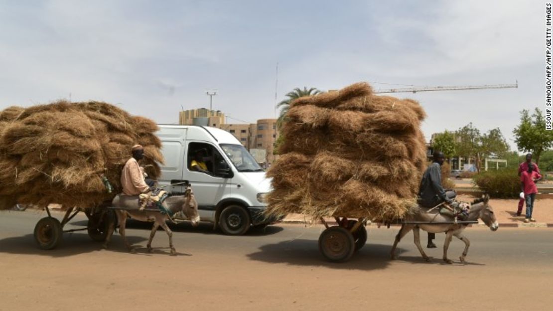 CNNE 132c4998 - 160929100023-niger-donkey-2-story-top