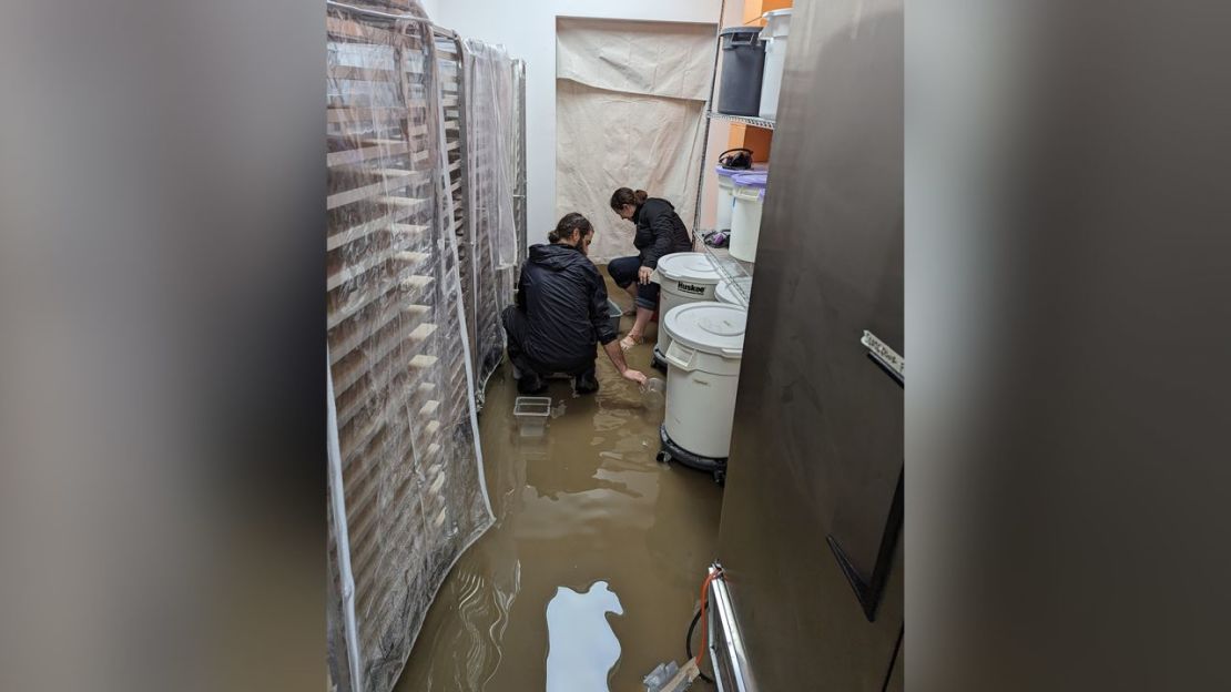 El agua inundó la sala de molienda de la panadería de Sam DeNicola en San Luis Obispo, California, a principios de esta semana. Crédito: Sam DeNicola