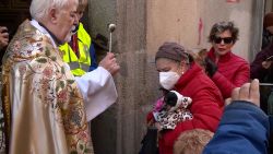 CNNE 1331745 - honran al patron de los animales, san anton, en espana