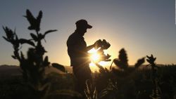 CNNE 1331976 - ee-uu- busca proteger a inmigrantes de abusos laborales