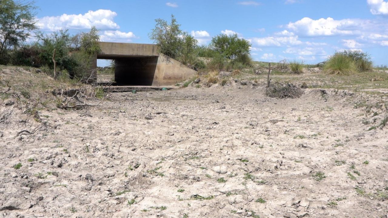 CNNE 1333936 - prolongada sequia causa desastres en las produccion argentina