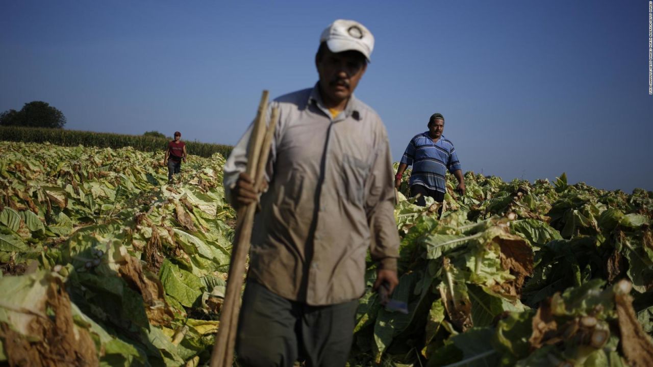 CNNE 1334584 - america latina- ¿hay escasez o mala distribucion de alimentos?