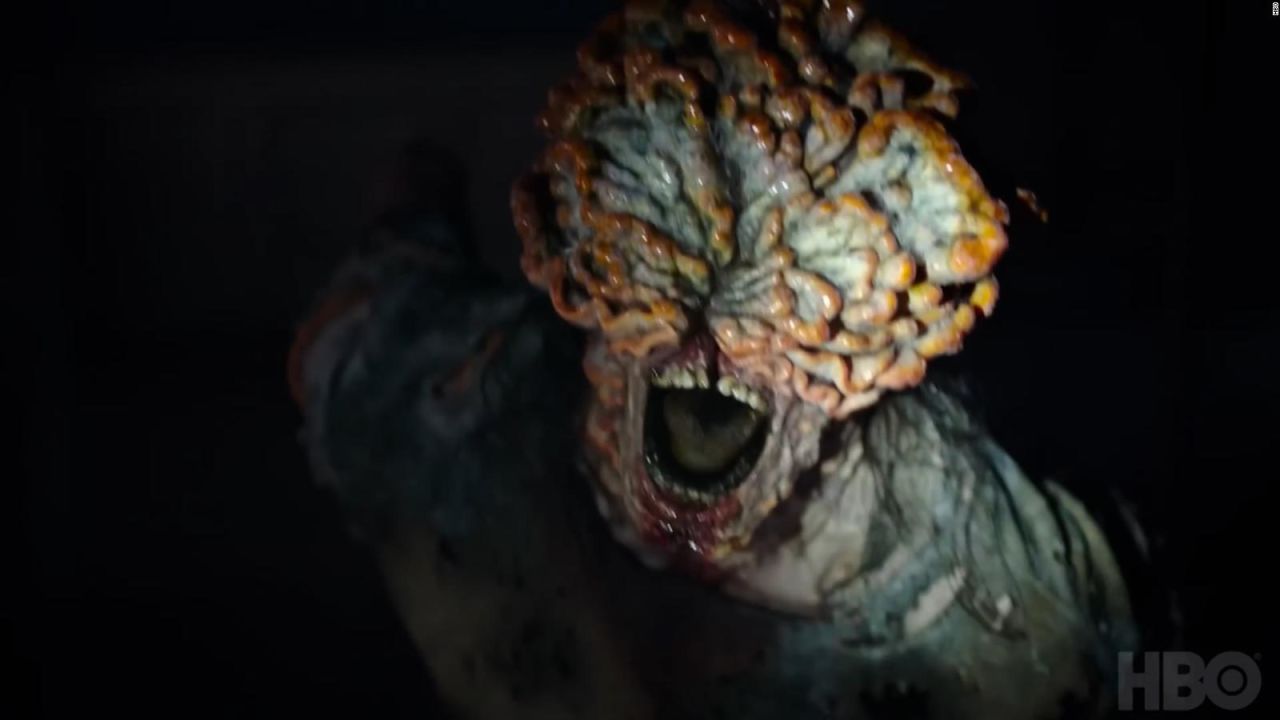 CNNE 1338421 - los hongos cordyceps que generan "hormigas zombis"