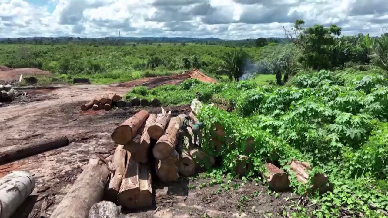 CNNE 1339582 - las nuevas politicas para proteger la amazonia en brasil