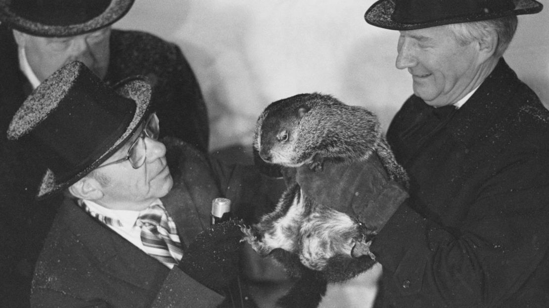 En 1973, Punxsutawney Phil deleitó a los espectadores con su ternura y los decepcionó al predecir seis semanas más de invierno.